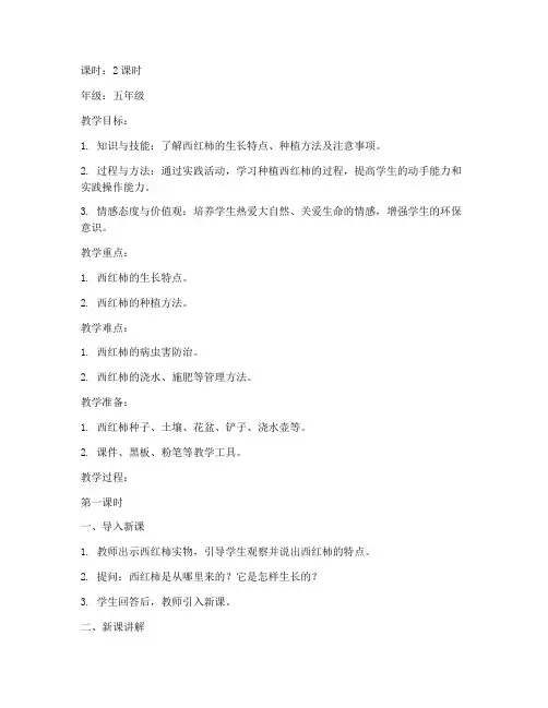 种植西红柿教案综合实践