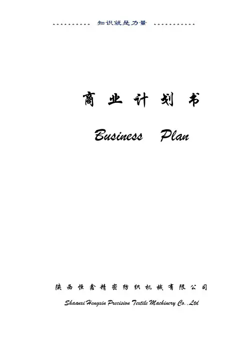 商业计划书 (21)