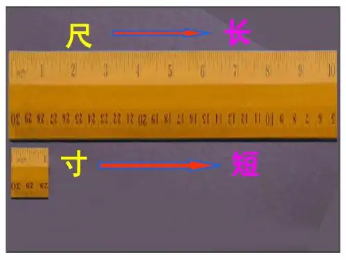 人教版四年级语文上册28.尺有所短寸有所长(精品课件)ppt