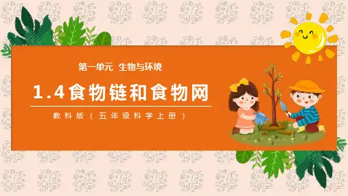 食物链和食物网PPT课件