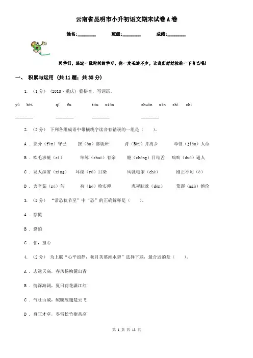 云南省昆明市小升初语文期末试卷A卷