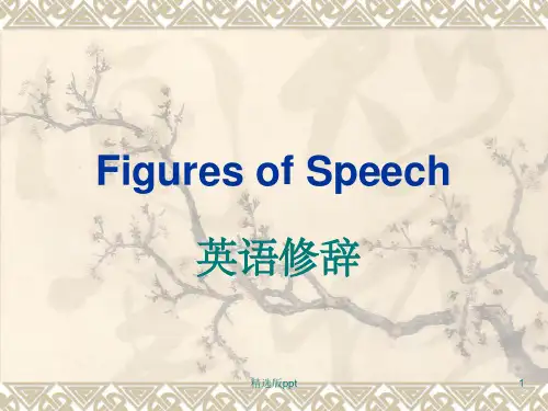 《英语修辞手法》