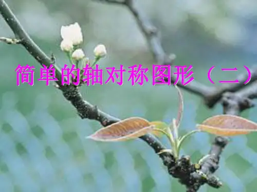 初中七年级数学下册【北师大版】 7.2简单的轴对称图形4