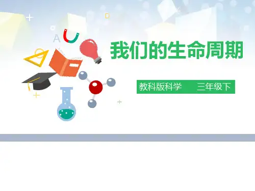 《我们的生命周期》动物的生命周期公开课件 图文