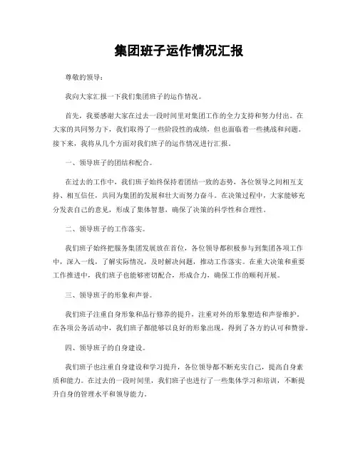 集团班子运作情况汇报