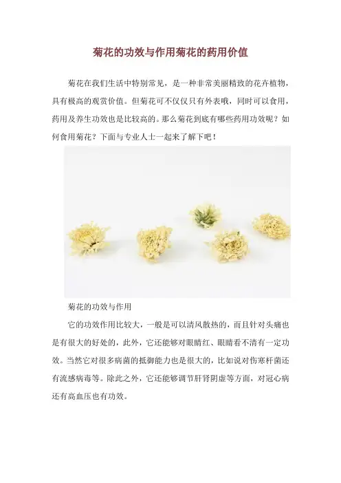 菊花的功效与作用 菊花的药用价值