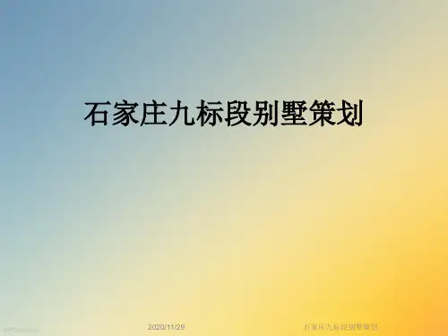 石家庄九标段别墅策划