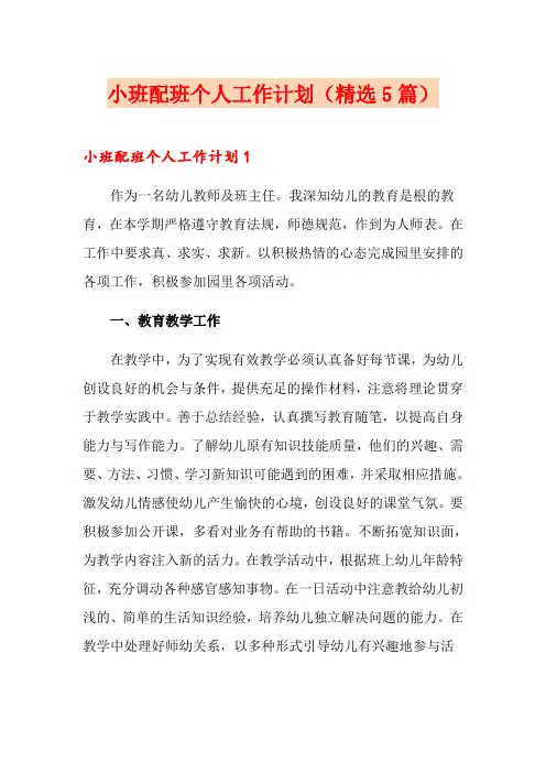 小班配班个人工作计划(精选5篇)