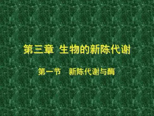 新陈代谢与酶ppt 优秀课件