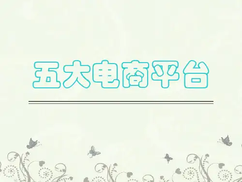 五大电商平台分析(1)