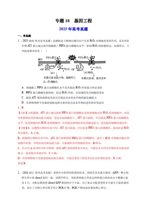 专题18基因工程-2023年高考真题和模拟题生物分项汇编(全国通用)(解析版)