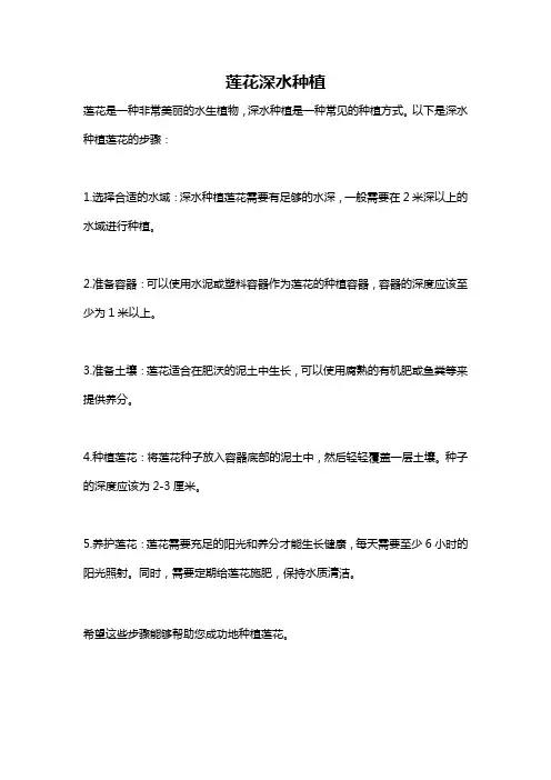 莲花深水种植