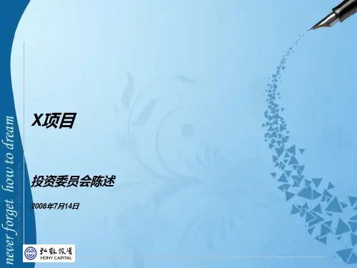 PPT——投资分析报告