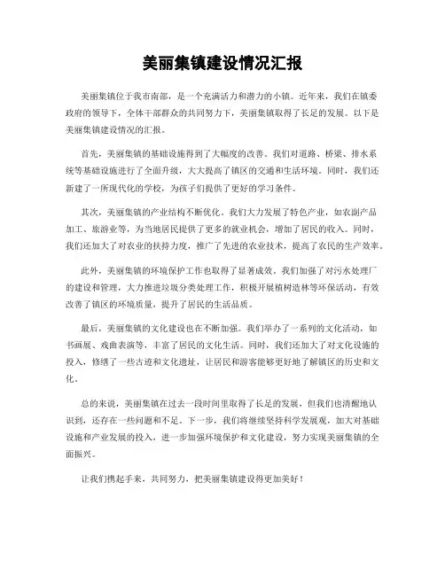 美丽集镇建设情况汇报