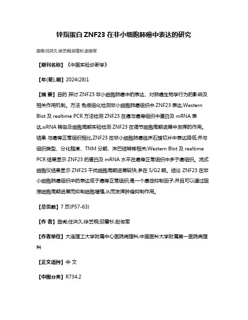 锌指蛋白ZNF23在非小细胞肺癌中表达的研究