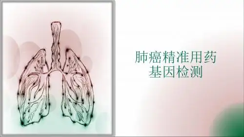 肺癌癌症精准用药基因检测ppt课件