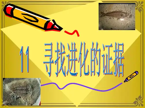 冀教小学五年级下册科学寻找进化的证据教学讲解(共10张PPT)