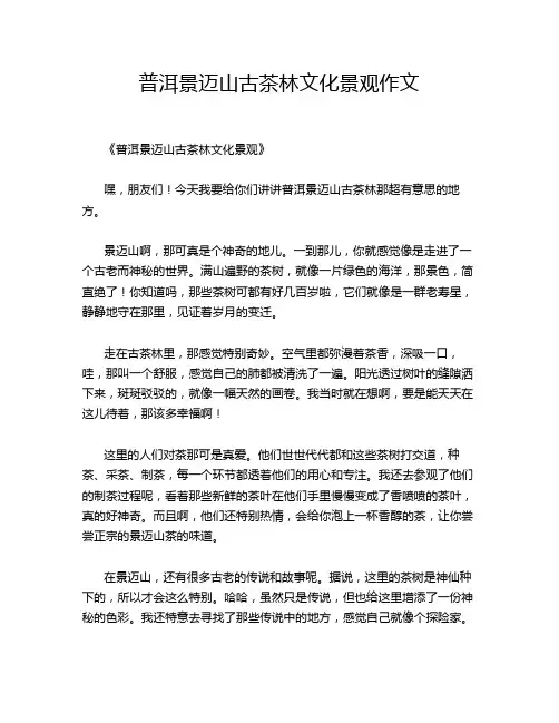 普洱景迈山古茶林文化景观作文