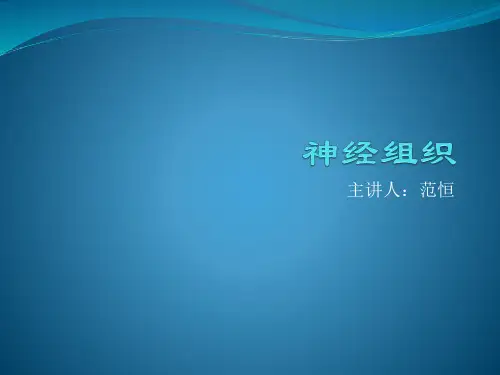神经细胞