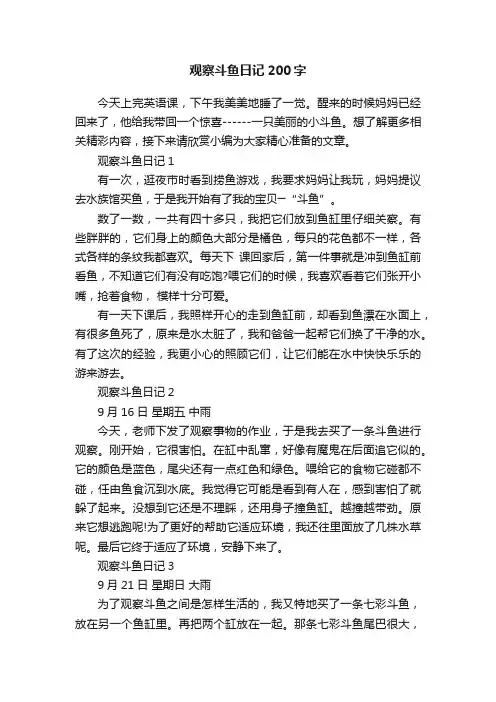 观察斗鱼日记200字