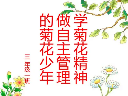 菊花班会ppt全