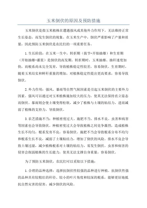玉米倒伏的原因及预防措施