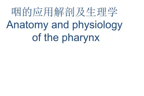 耳鼻喉学：咽的应用解剖及生理学