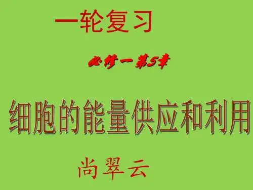人教版生物必修一第五章第2节《降低化学反应活化能的酶》 (共28张PPT)