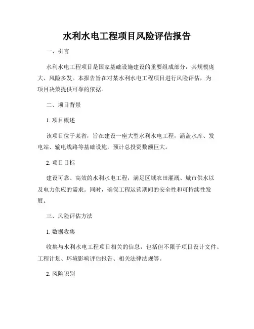 水利水电工程项目风险评估报告