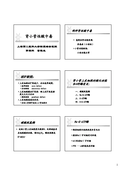肾小管性酸中毒
