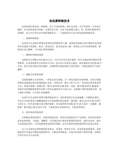 包包菜种植技术