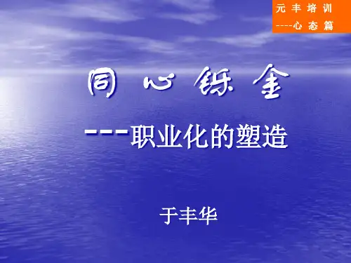 员工的职业化塑造(PPT56页)