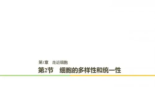 人教版 18-19学年高一生物 必修1 第一章 第2节 细胞的多样性和统一性课件