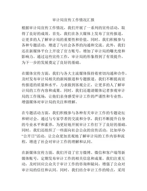 审计局宣传工作情况汇报