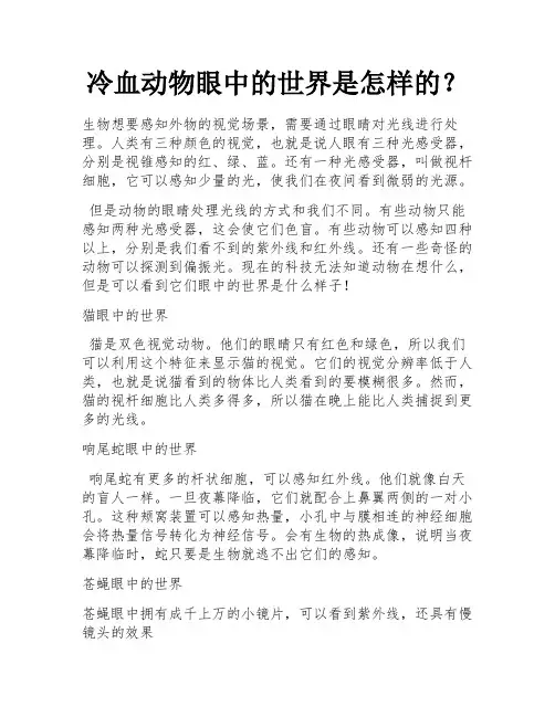 冷血动物眼中的世界是怎样的？