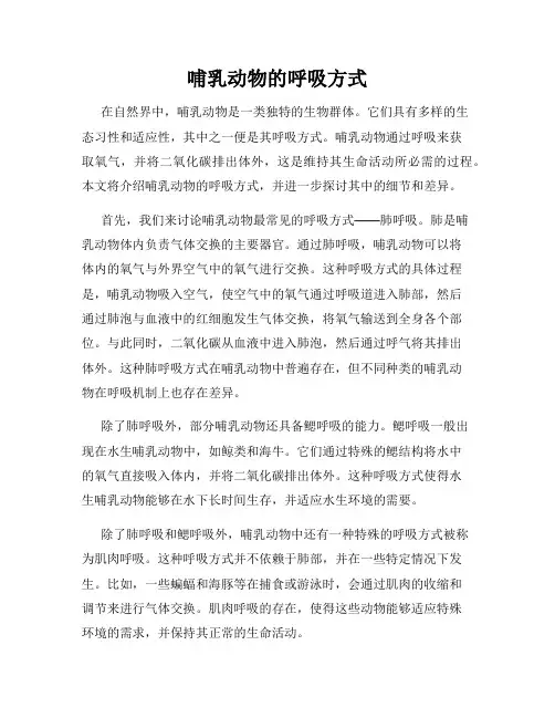 哺乳动物的呼吸方式