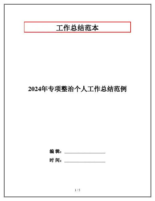 2024年专项整治个人工作总结范例