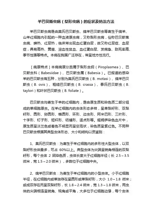 羊巴贝斯虫病（梨形虫病）的症状及防治方法