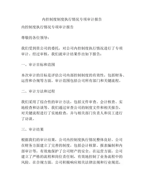 内控制度制度执行情况专项审计报告