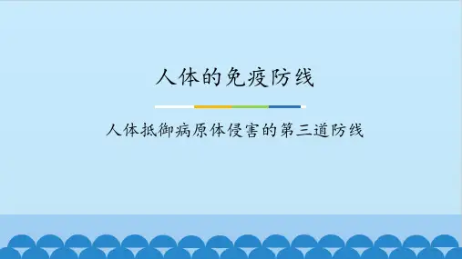 8-24-1人体的免疫防线课件2022-2023学年苏科版生物八年级下册