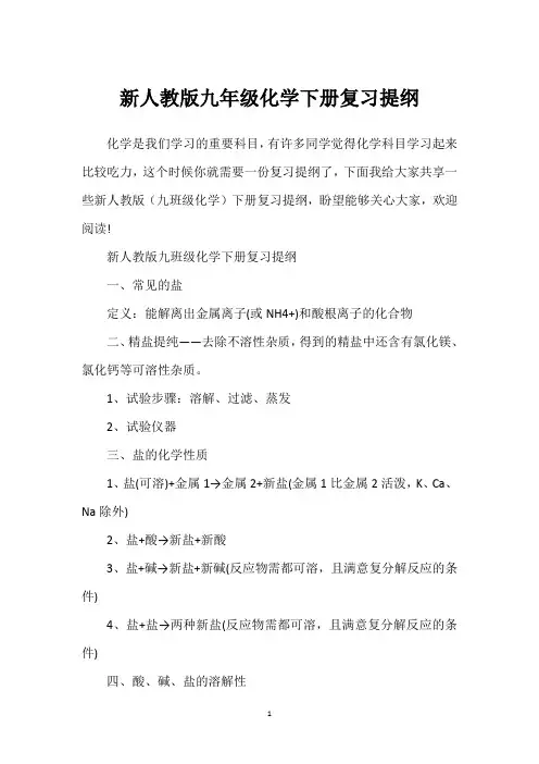 新人教版九年级化学下册复习提纲