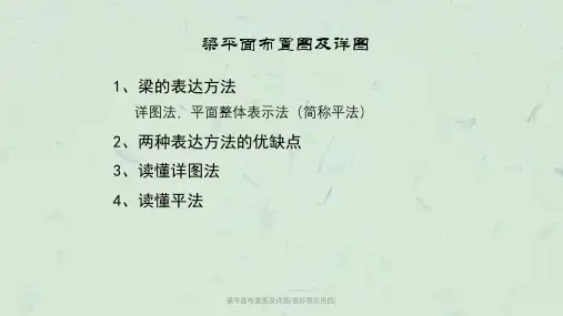梁平面布置图及详图(很好很实用的)课件
