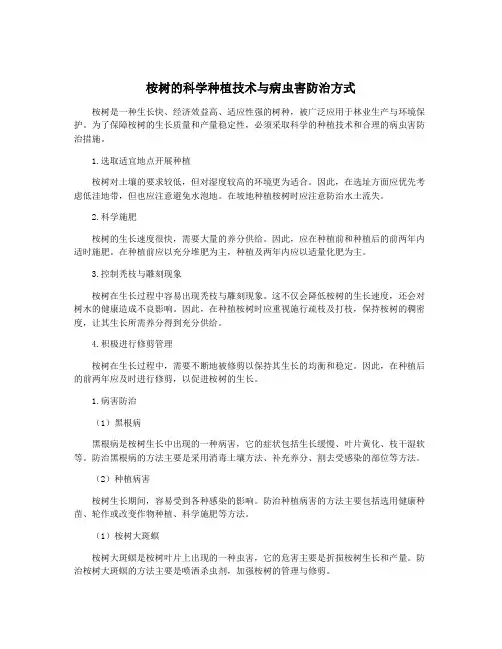 桉树的科学种植技术与病虫害防治方式