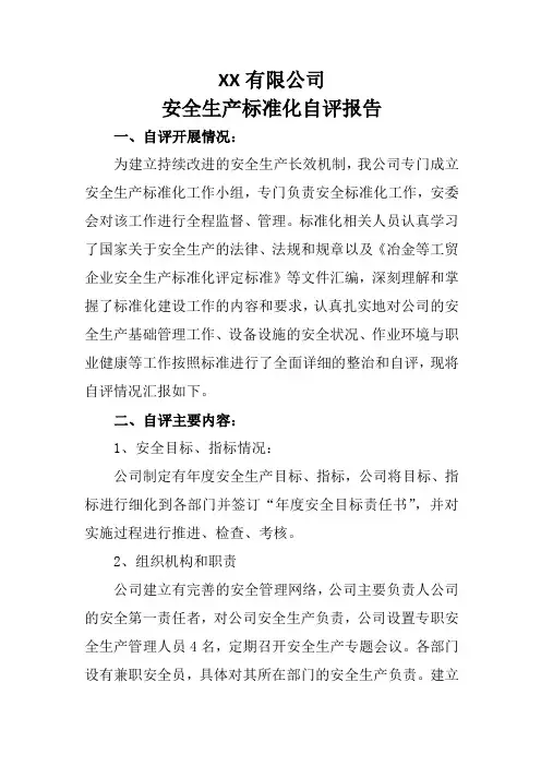 公司安全生产标准化自评报告