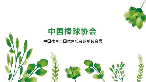 中国棒球协会