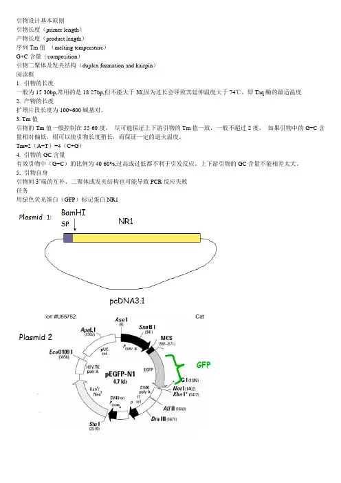 引物设计实例分析(多图)