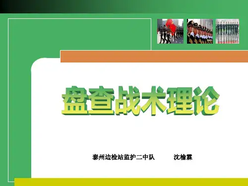 盘查战术理论11