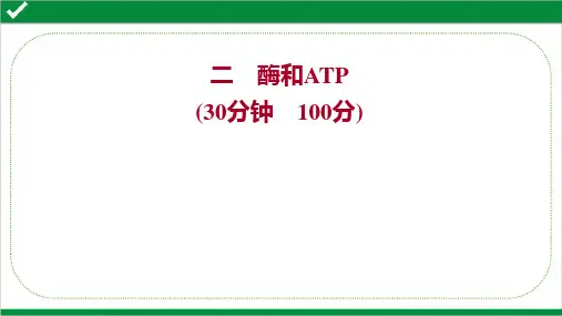 2022年高考生物二轮培优强化复习专题二 酶和ATP