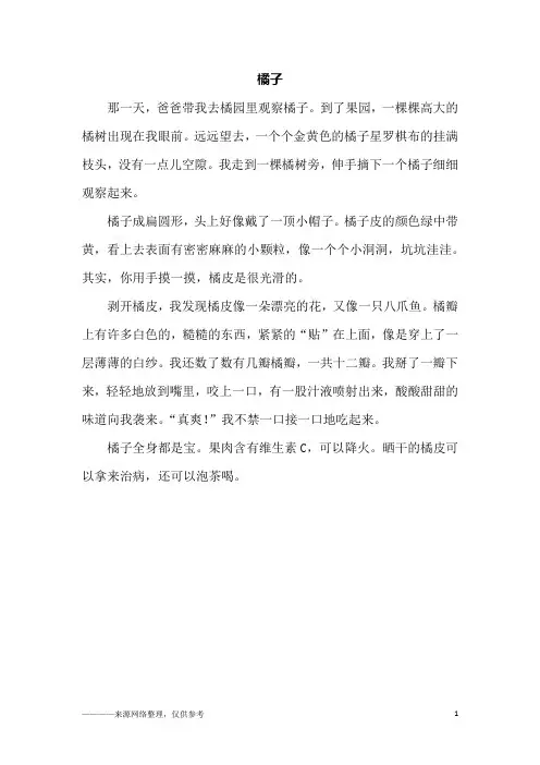 橘子_五年级作文