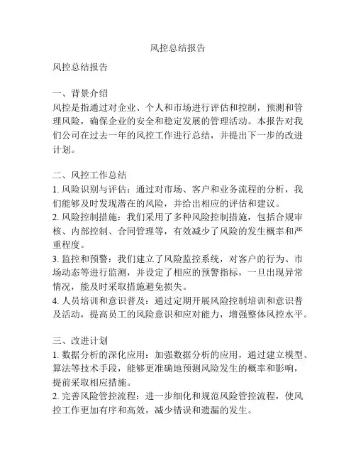 风控总结报告